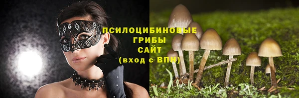 крисы Белокуриха