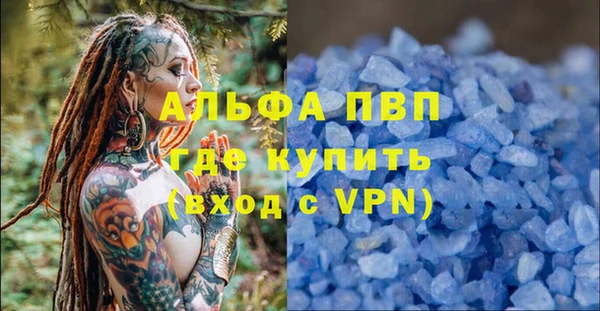 крисы Белокуриха