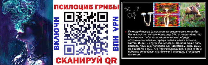 хочу наркоту  Волчанск  Псилоцибиновые грибы Cubensis 
